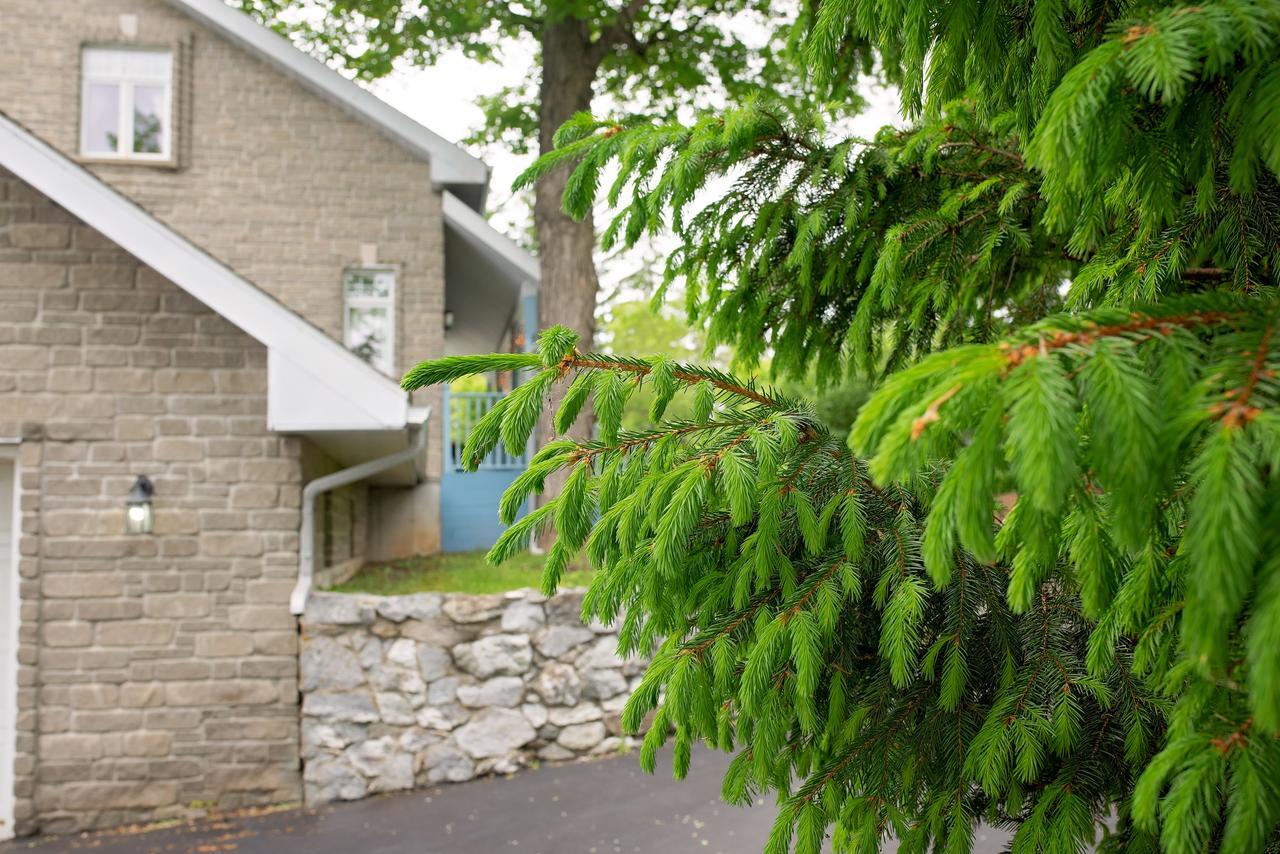 Rock Hill Bed & Breakfast Sharbot Lake Luaran gambar